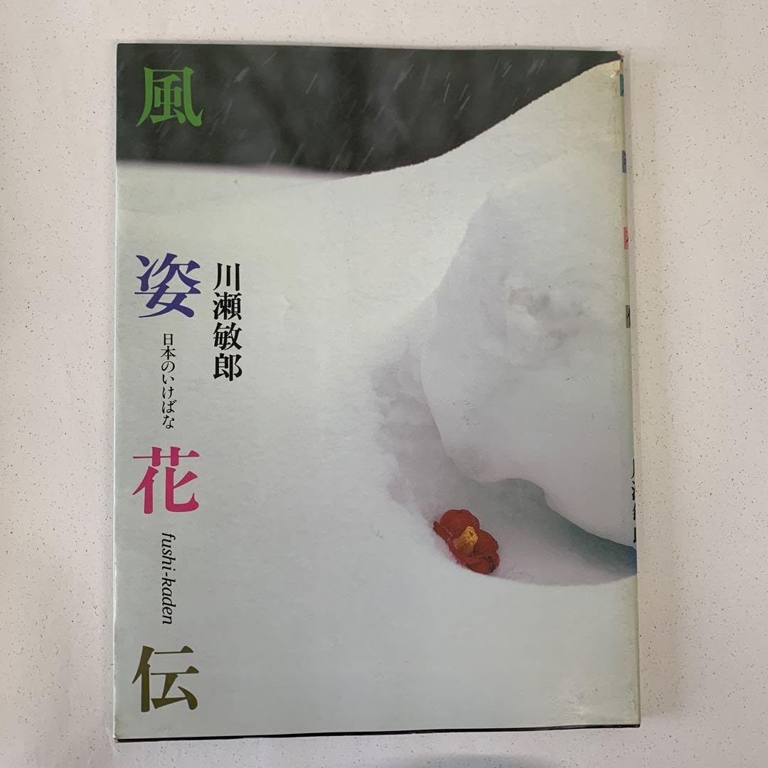 風姿花伝・日本のいけばな　川瀬敏郎 風姿花伝・日本のいけばな 川瀬敏郎 Amazon.co.jp: 風姿花伝日本の